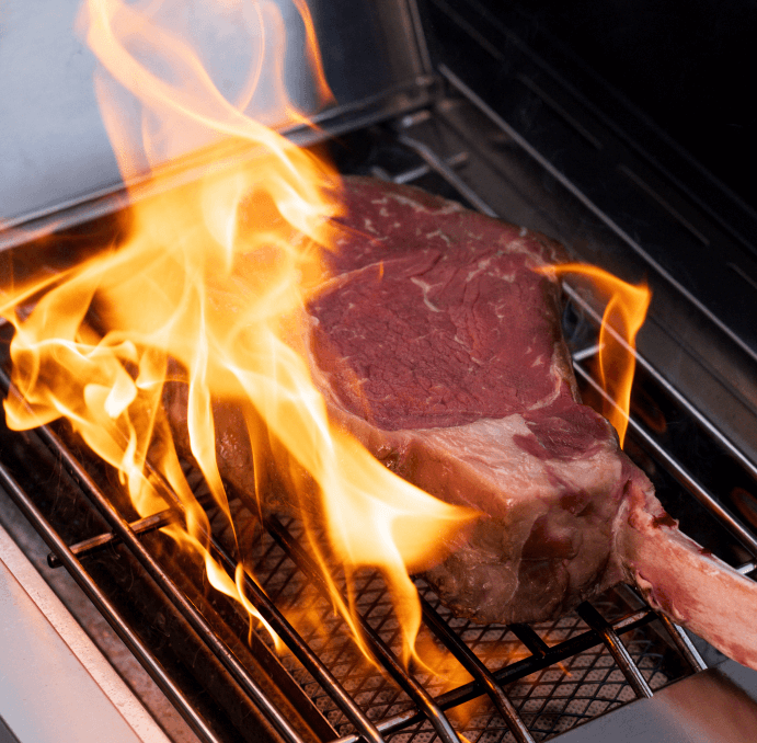 Eminence 405 | Chic Clearview Smart Stainless Gas Grill
